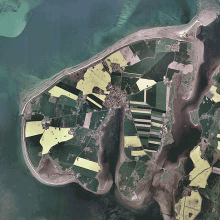 Bild Nr. 5 Insel Poel