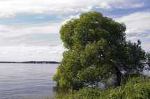 Foto von Walter Schönenbröcher