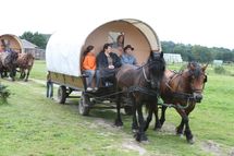 Grünower Planwagencamping