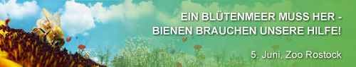 Banner f&uuml;r www.umwelttag.de