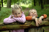Titelfoto zum Ausflugsbegleiter (c) Holsteiner Auenland/photocompany